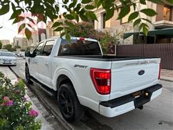 فۆرد F-150